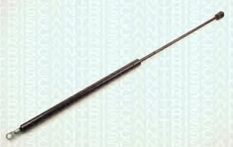 BAGAJ AMORTİSÖR 610645 B