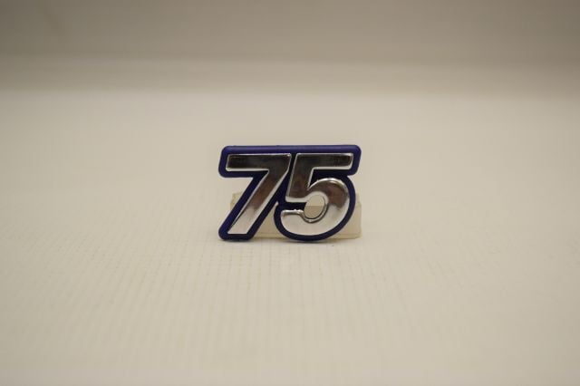 ÇAMURLUK 75 YAZISI PALİO SİENA