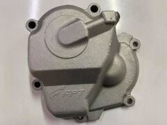 ŞANZUMAN ARKA KAPAĞI TEMPRA PALİO ALBEA