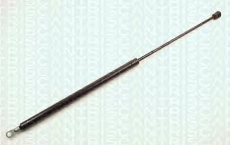 BAGAJ AMORTİSÖR 610645 B
