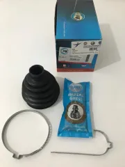 AKİS KÖRÜĞÜ İÇ PALİO SİENA MAREA