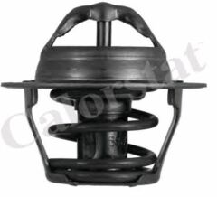 TERMOSTAT 202317755 (1338052) ASTRA F CORSA B 1.4 8V VECTRA A 1.6